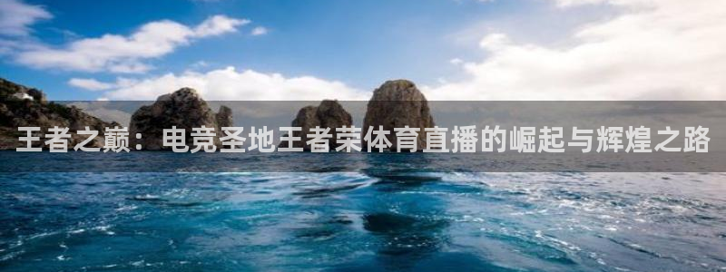 河豚体育在线观看直播：王者之巅：电竞圣地王者荣体育直播的崛起与辉煌之路