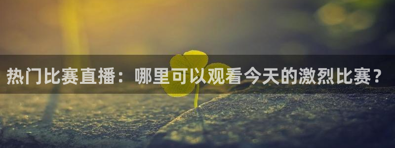 河豚免费nba在线直播：热门比赛直播：哪里可以观看今天的激烈比赛？