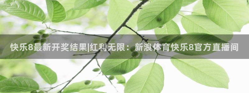 河豚免费nba在线直播：快乐8最新开奖结果|红利无限：新浪体育快乐8官方直播间