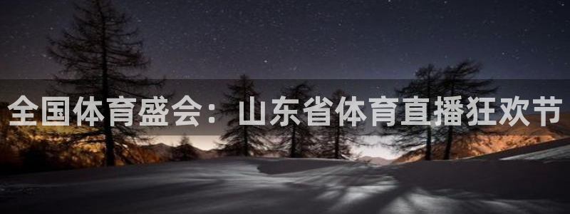 河豚体育直播免费观看：全国体育盛会：山东省体育直播狂欢节