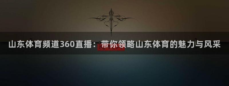 河豚体育直播：山东体育频道360直播：带你领略山东体育的魅力与风采