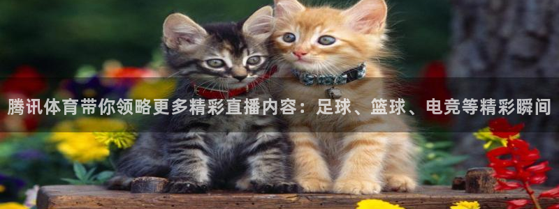 河豚体育直播app官网入口：腾讯体育带你领略更多精彩直播内容：足球、篮球、电竞等精彩瞬间