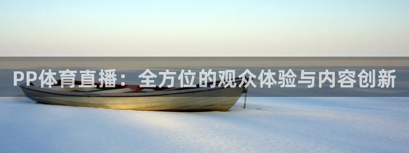 nba河豚体育直播：PP体育直播：全方位的观众体验与内容创新
