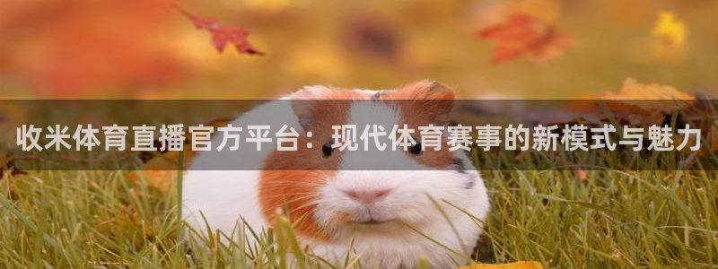 河豚体育赛事直播：收米体育直播官方平台：现代体育赛事的新模式与魅力