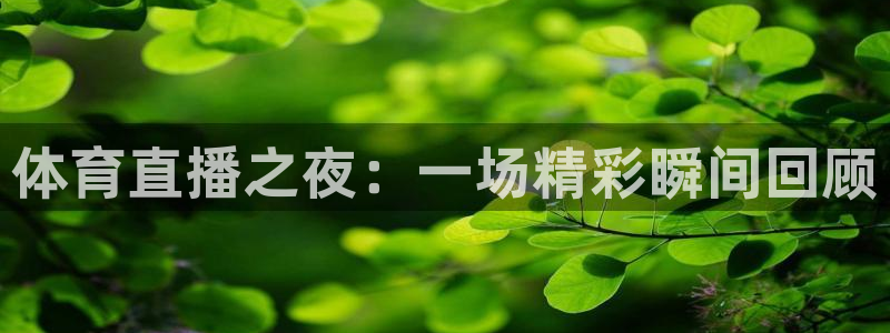 河豚体育nba直播：体育直播之夜：一场精彩瞬间回顾