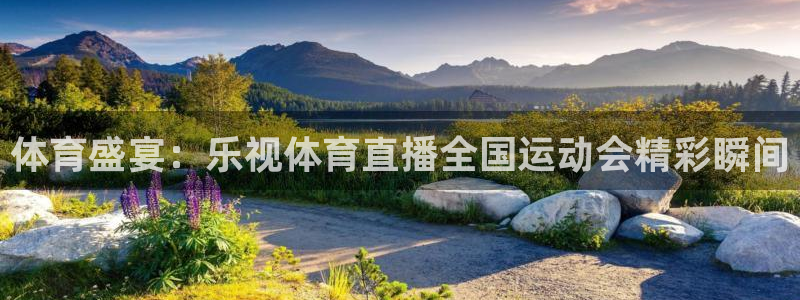 河豚直播在线看球：体育盛宴：乐视体育直播全国运动会精彩瞬间