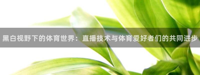 河豚体育直播app：黑白视野下的体育世界：直播技术与体育爱好者们的共同进步