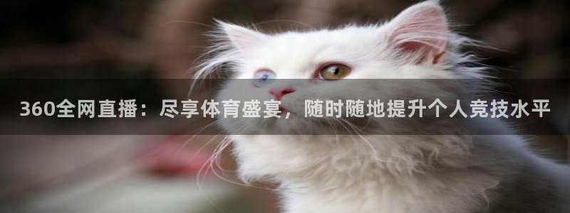 河豚体育在线直播nba：360全网直播：尽享体育盛宴，随时随地提升个人竞技水平